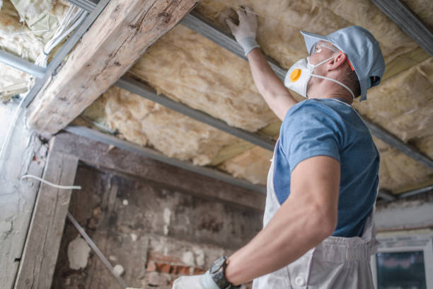 Best Cellulose Insulation in Clarion, IA