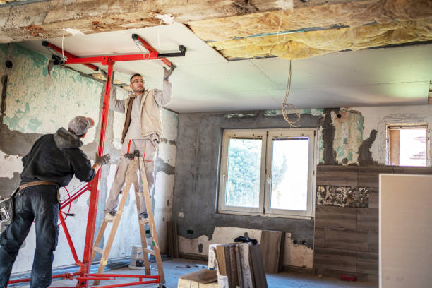 Best Spray Foam Insulation in Clarion, IA